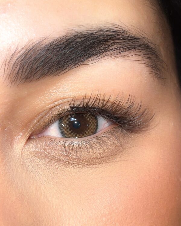 Faux cils magnétiques - Naturel marron